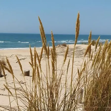 Agence Europ Atlantique La Palmyre - Belle Renovee Les Tremieres 6 Personnes - Ferienhaus Les Mathes